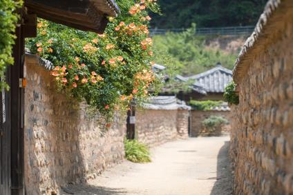 달의 연인 촬영지 남평문씨본리세거리
