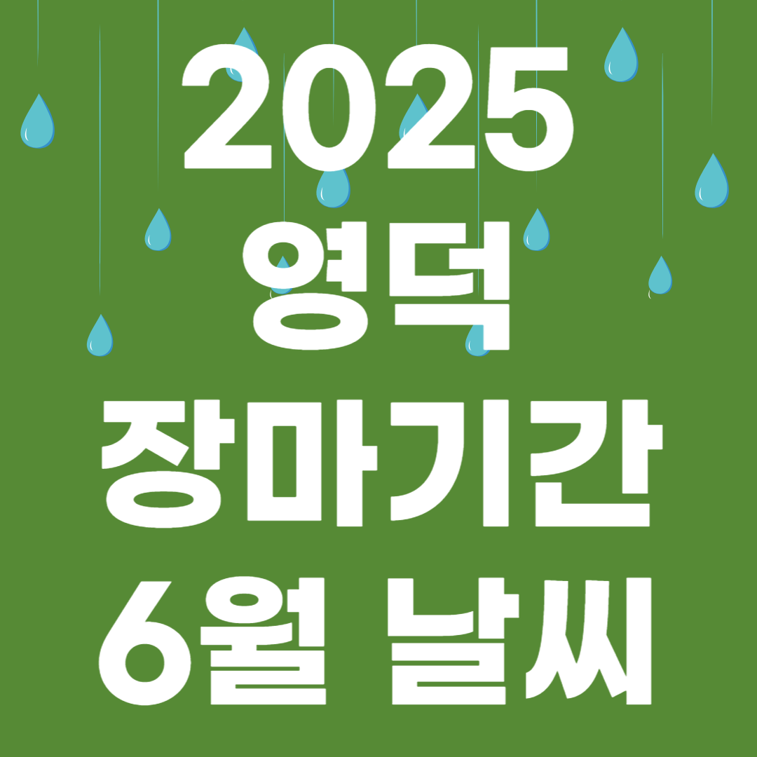 2025년 영덕 장마기간 장마철 대비