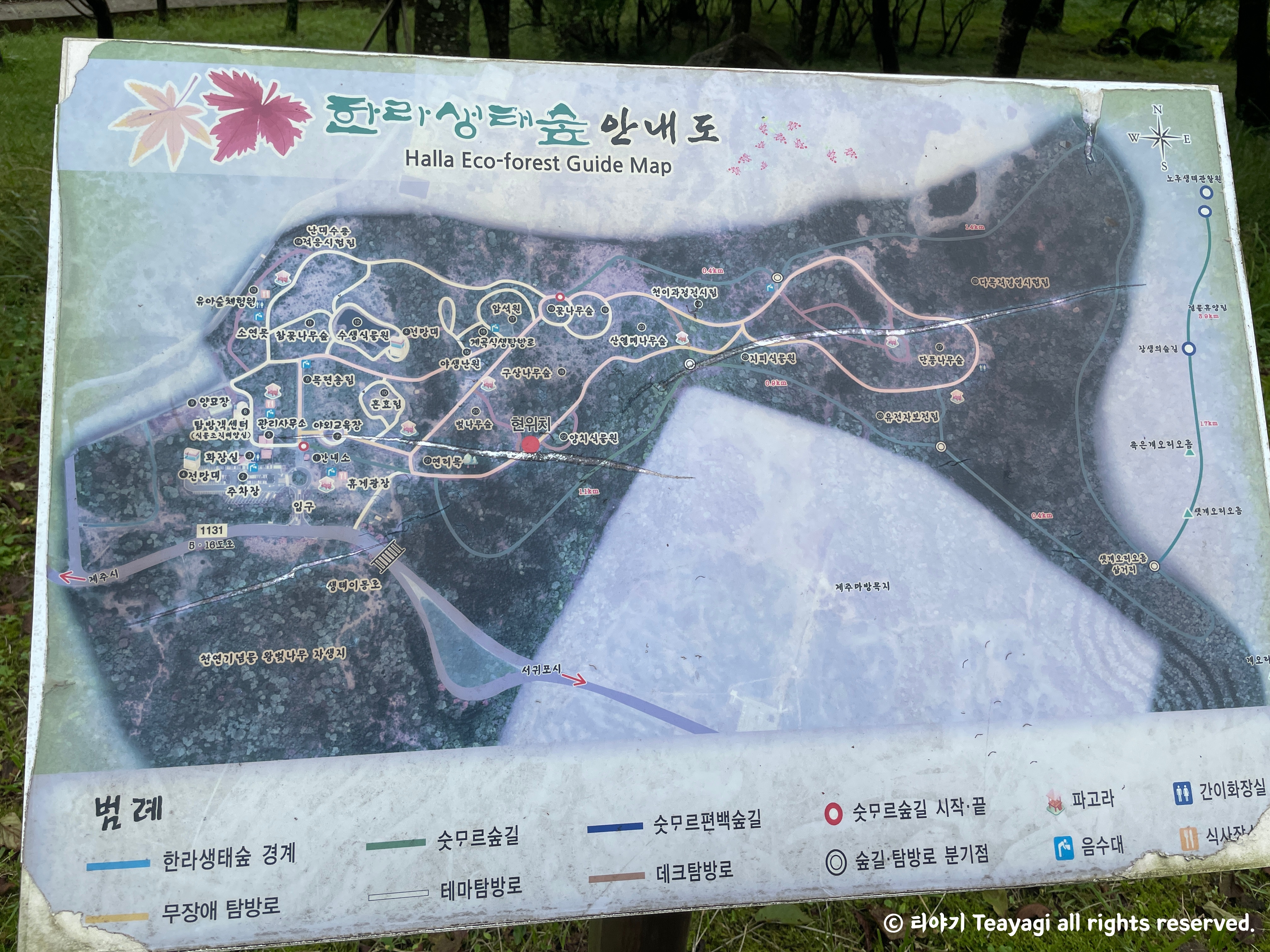 제주도-한라생태숲-안내도