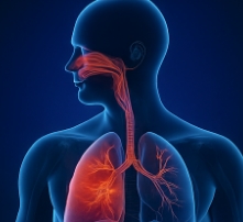 독감 예방접종 시기