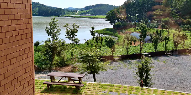 생방송오늘저녁 충남 태안 놀이방, 버섯 따기 체험, 저녁 삼겹살, 양념제육, 송고버섯, 쌈채소, 밥, 국 무한리필, 조식 한식 뷔페 맛집 추천