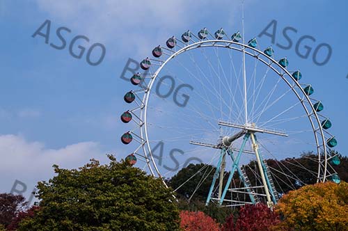 에버랜드 A구간 설명