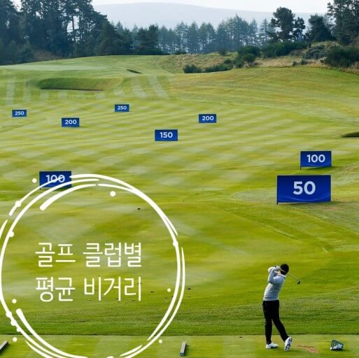 클럽별 비거리 확인