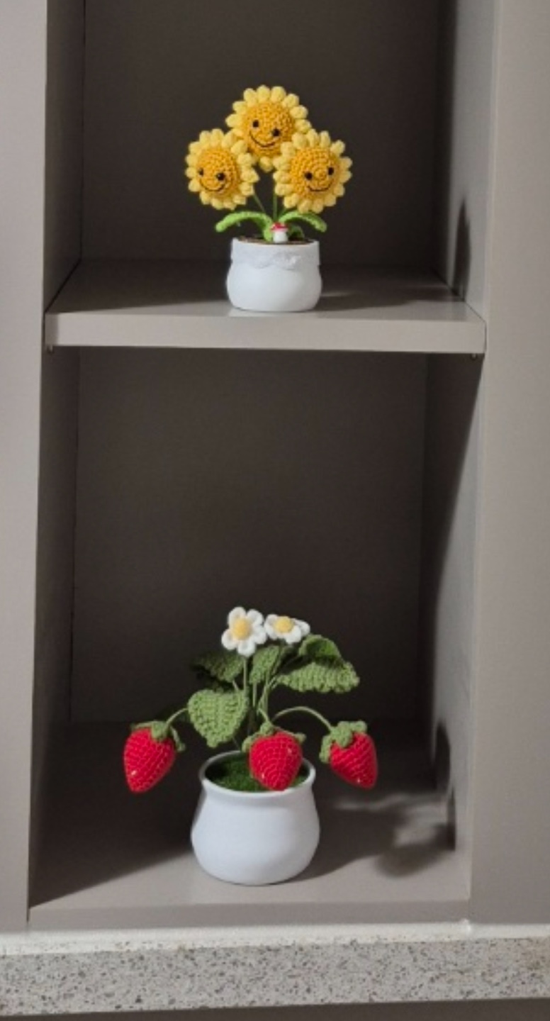 우리집에 온 해바라기와 딸기