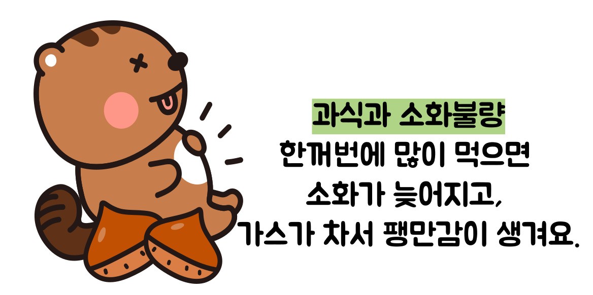 복부 팽만감 원인