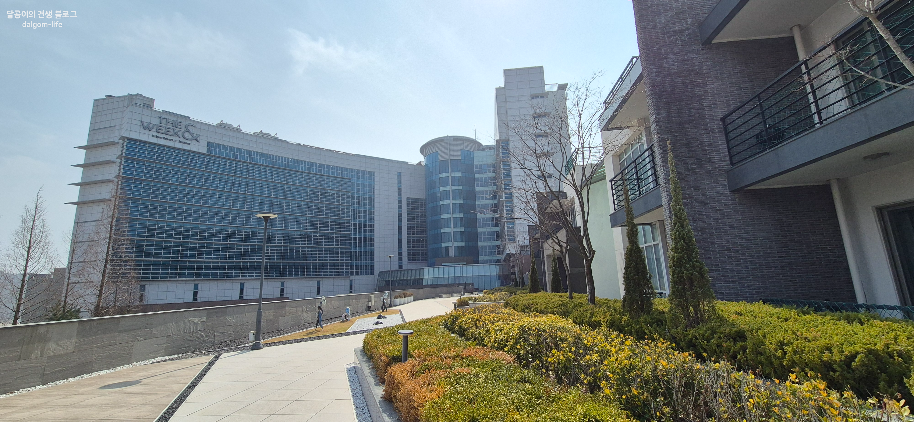 인천 더위크앤리조트 애견동반