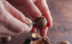 매실 수확 시기 및 6가지 효능 (+ 장아찌 만드는 법 씨 빼는 도구 엑기스 담는 법 유통기한)