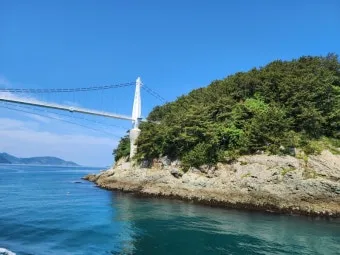 통영 연화도 수국 꽃길 산책 코스와 최적 관람 시기_16