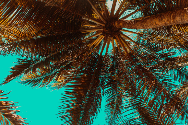 여름, 여름에 보면 더 좋은 청춘 영화 추천