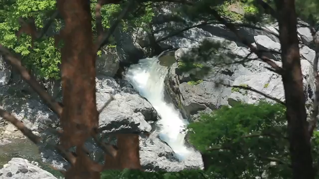 황지천 소폭포와 숲 그늘, 흩어지는 물안개