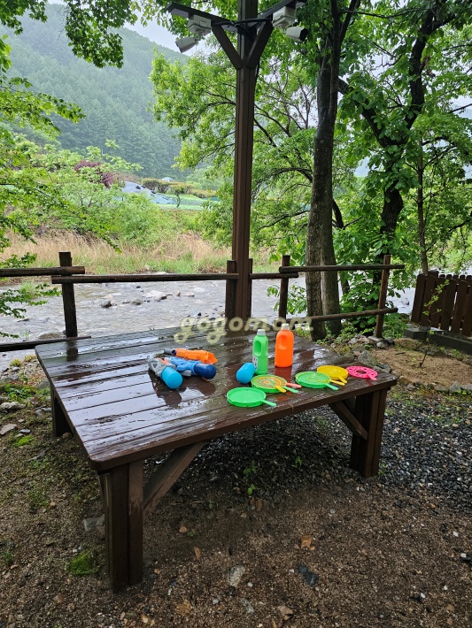 모야의숲