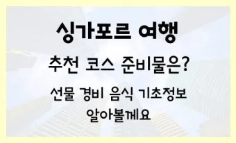 싱가포르 여행경비 3박4일 실측 가이드 낭비 없는 예산 짜기_22