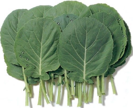 마그네슘 효능 부작용 올바른 복용법 하루 권장량