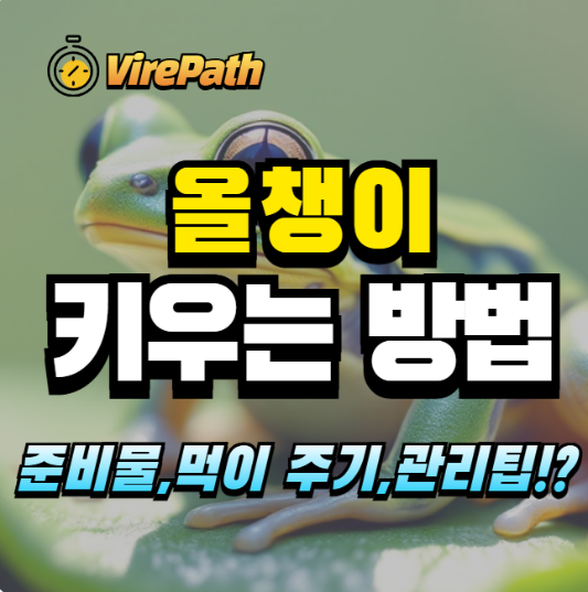 올챙이 키우는 방법 알아보기