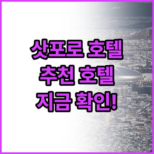 삿포로 여행 맞춤 호텔 추천 지금 바..