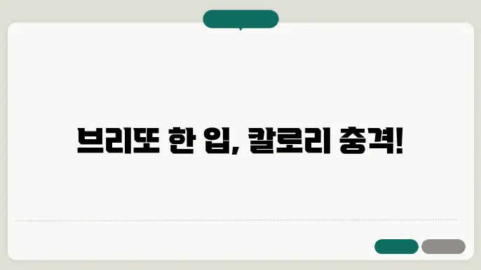 브리또 선택