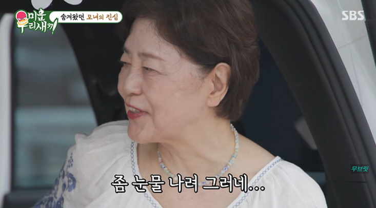 이수 린 이혼 미우새 방송
