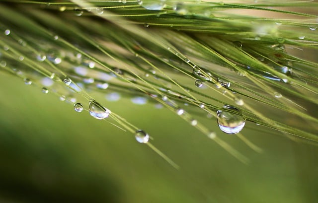 2023년 7월 부산 지역 날씨 강수량 기온 예보 전망4