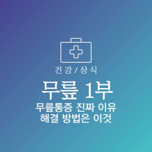 무릎통증 원인 치료 관리 좋은 음식