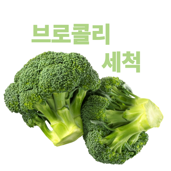 브로콜리 세척