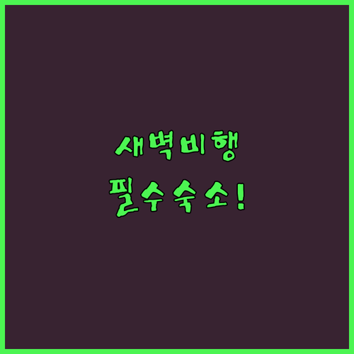 김포공항 새벽 비행기 타기 좋은 가성..