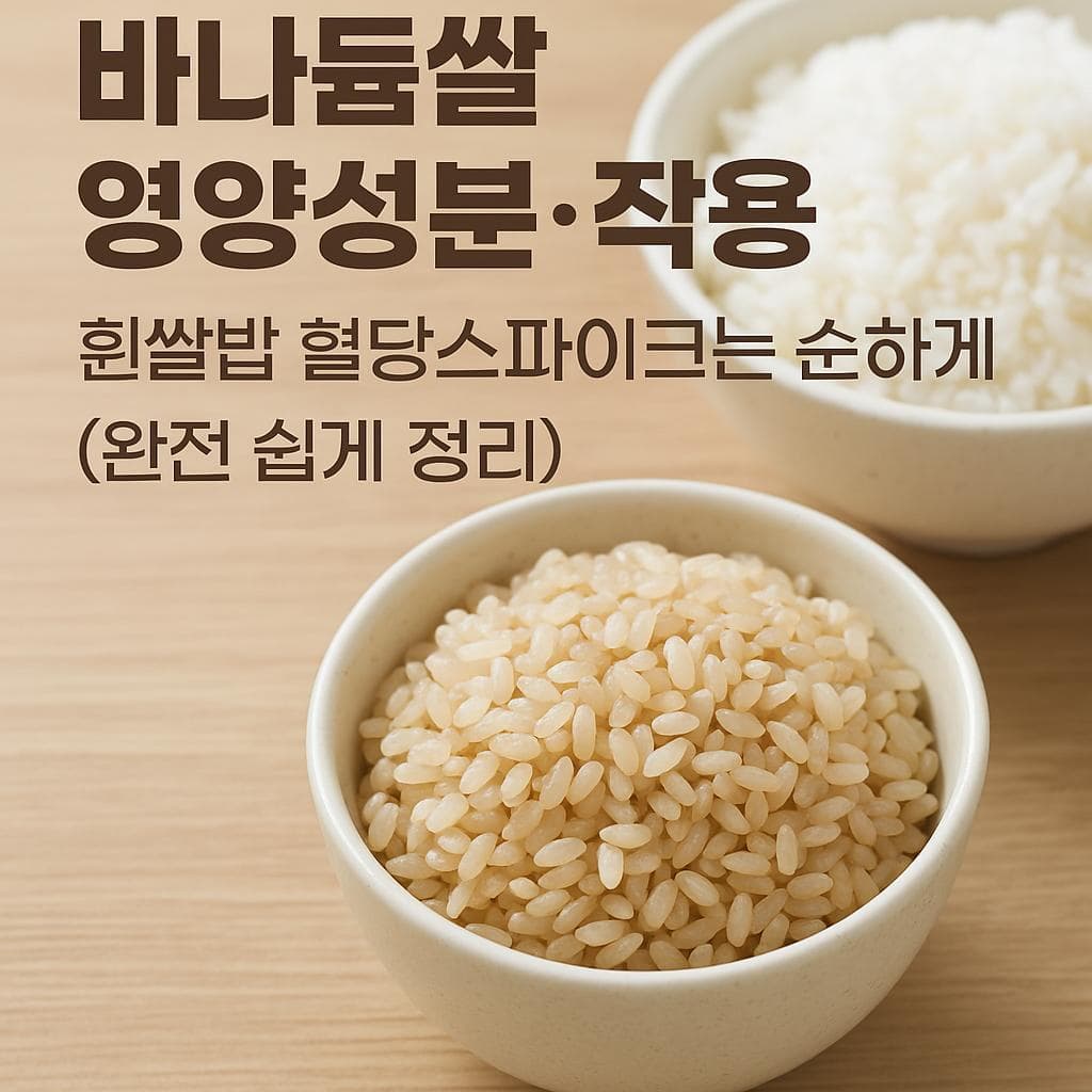 바나듐쌀 영양성분·작용 흰쌀밥 혈당스파이크는 순하게 (완전 쉽게 정리)