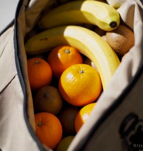 여행 가방속에 과일 미국여행 입국 금지 과일