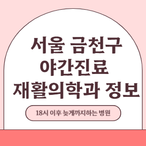 서울 금천구 야간진료 재활의학과 병원 (18시 이후 늦게까지하는 병원)