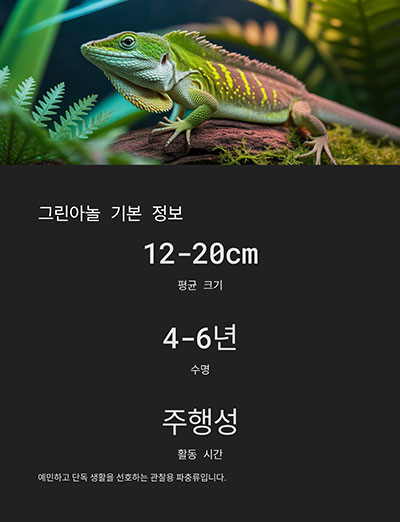 기본 정보와 성격