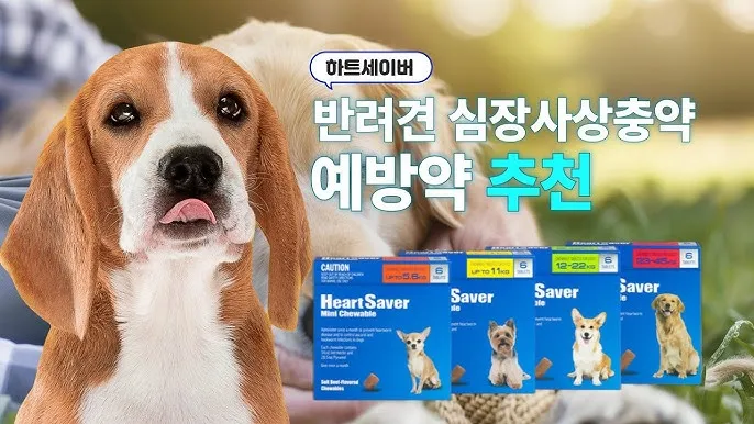 심장사상충약 복용 시기 가격 강아지 고양이 직구 부작용_5