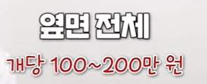 상악동거상술