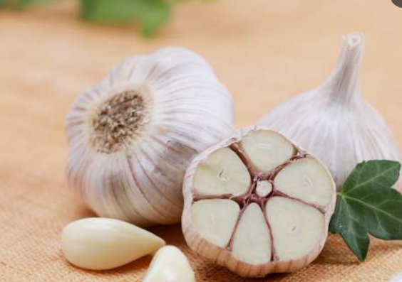 서산 6쪽마늘축제 일정 장소 가격 체험