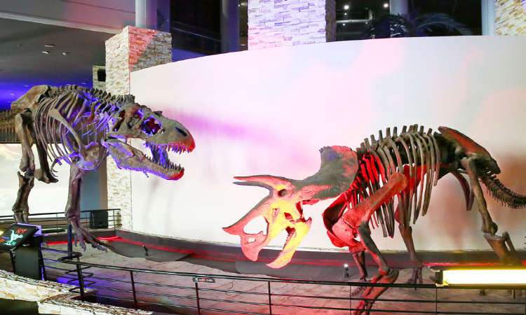 해남 공룡박물관