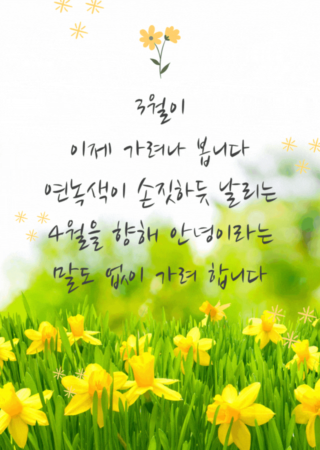 봄꽃과 함께 3월을 조용히 보내는 감성 인사 이미지