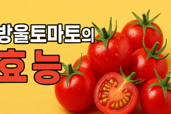 방울토마토의 영양성분과 대표 효능 및 부작용