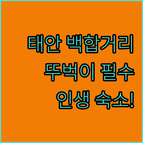 태안 백합거리 뚜벅이 여행 가이드 위..