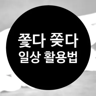 좇다 쫓다 맞춤법 맞는 표현 예문_27