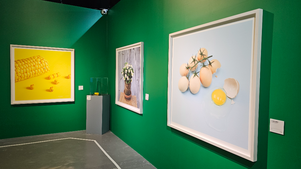 아쿠아플라넷 여수 헬가 스텐첼 특별전