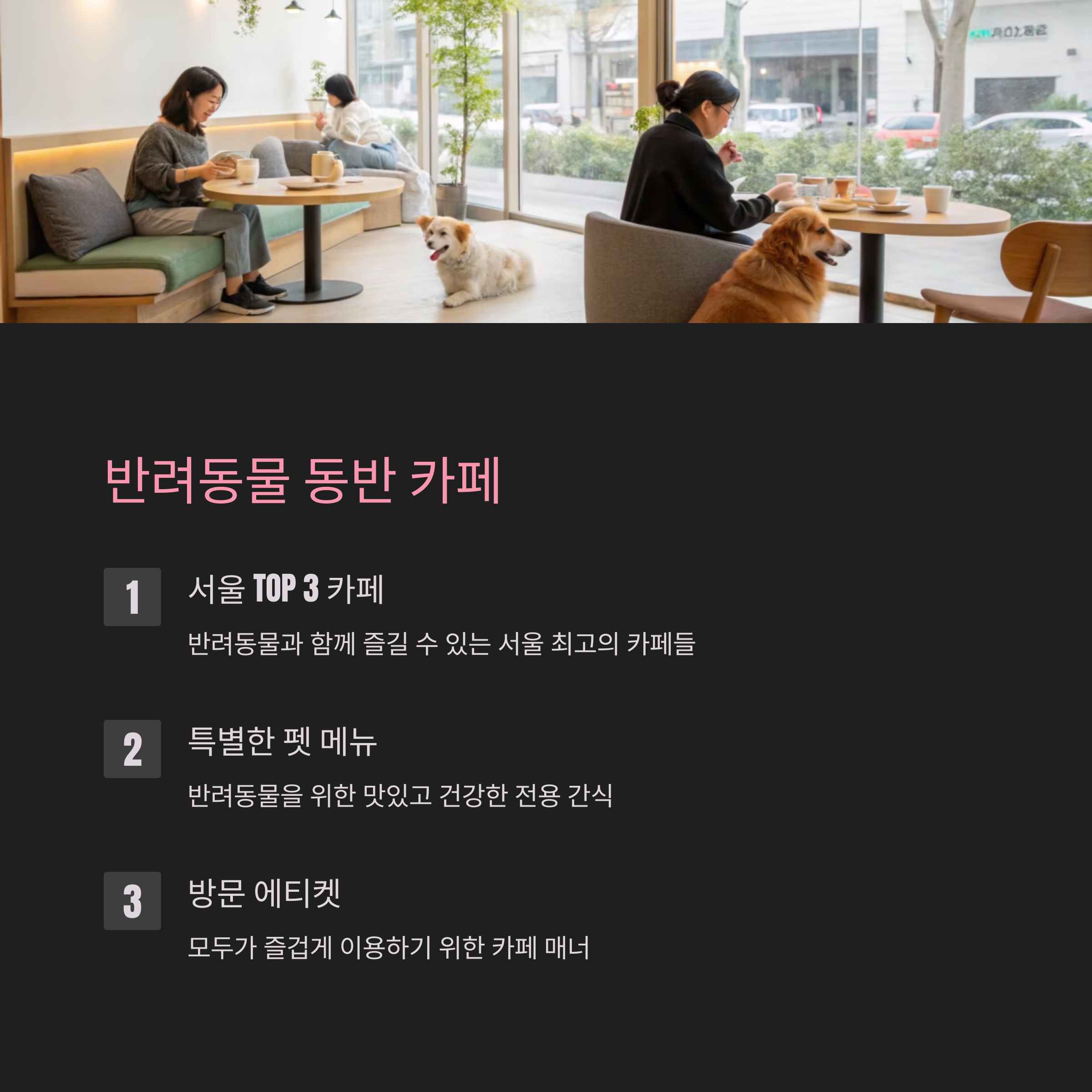 ๋ฐ๋ ค๋๋ฌผ๊ณผ ํจ๊ปํ๋ฉด ๋ ํ๋ณตํด์ง๋ 7๊ฐ์ง ํน๋ณํ ํ๋