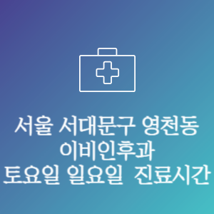 서울 서대문구 영천동 이비인후과 주말 토요일 일요일 문여는 병원 진료시간
