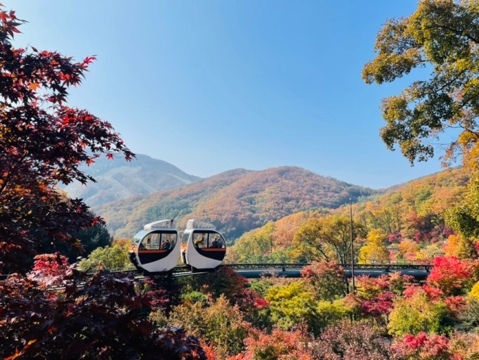 화담숲 단풍축제