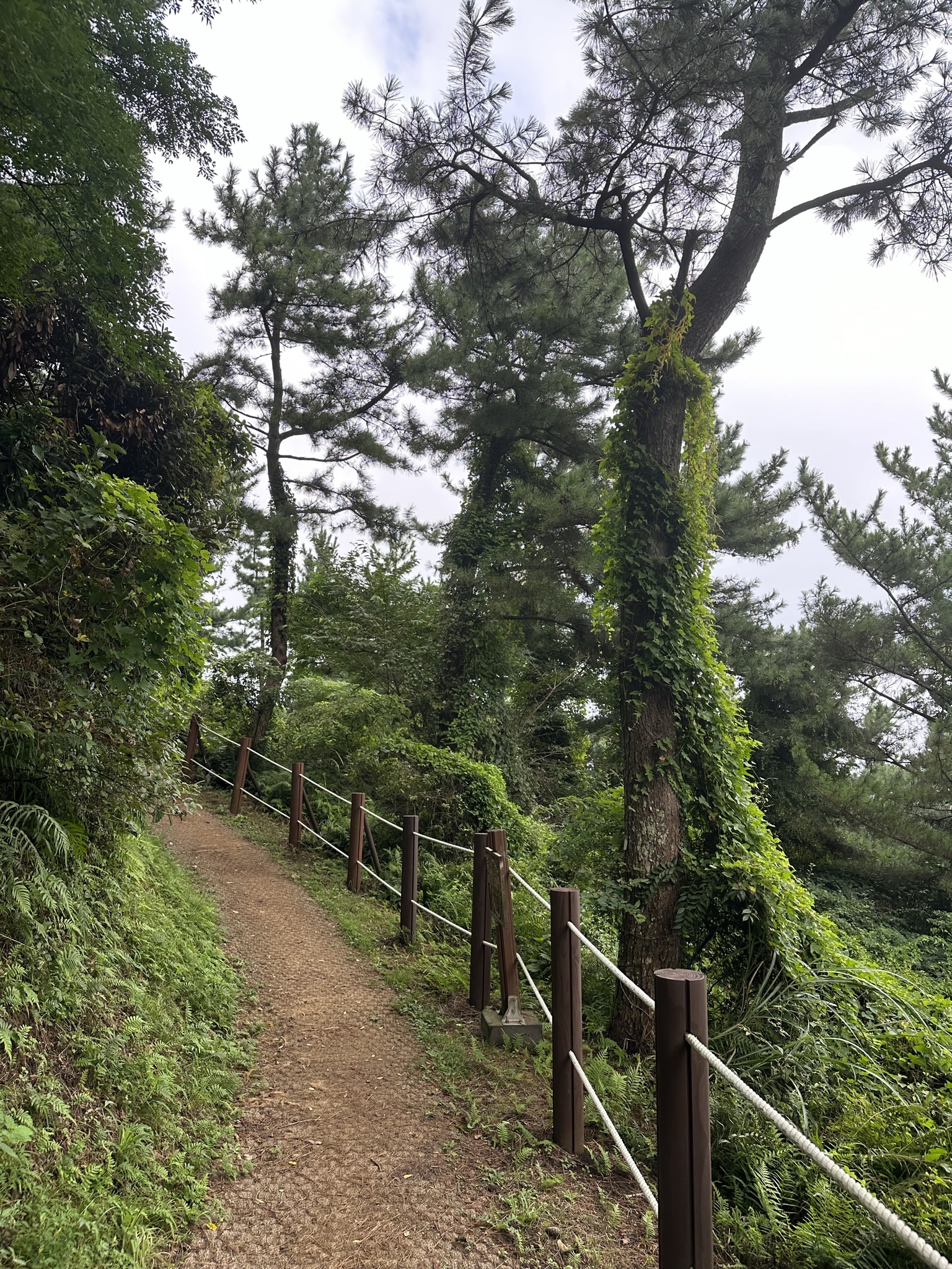 산책로