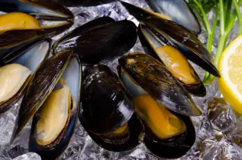 홍합 효능 및 영양성분, 가격