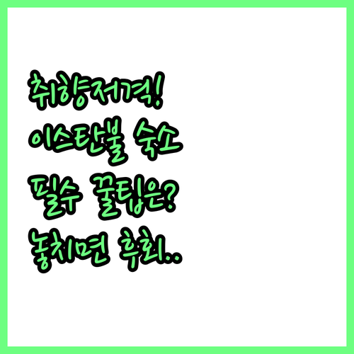 취향저격 이스탄불 호텔 추천 나만의 ..