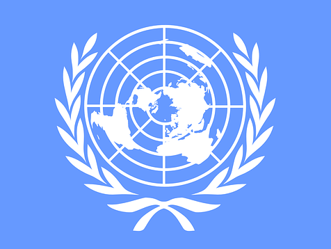 유엔 표시 그림