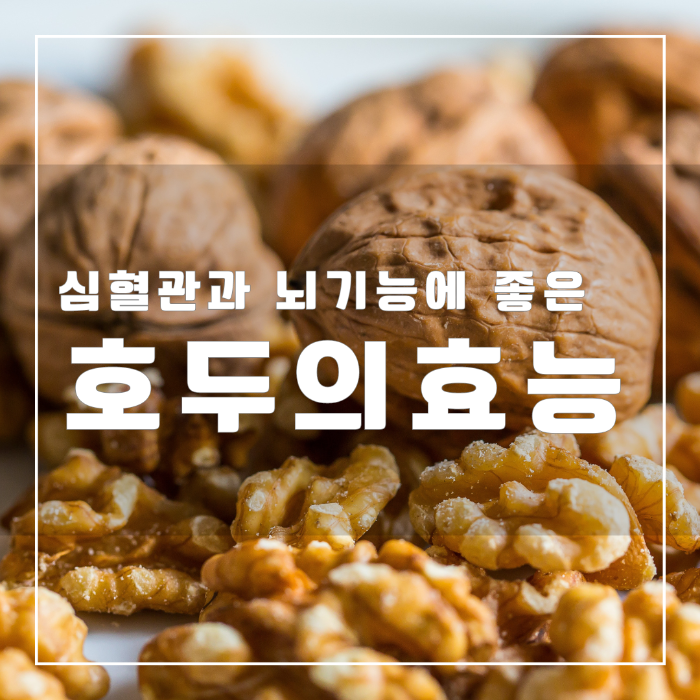 호두의 효능