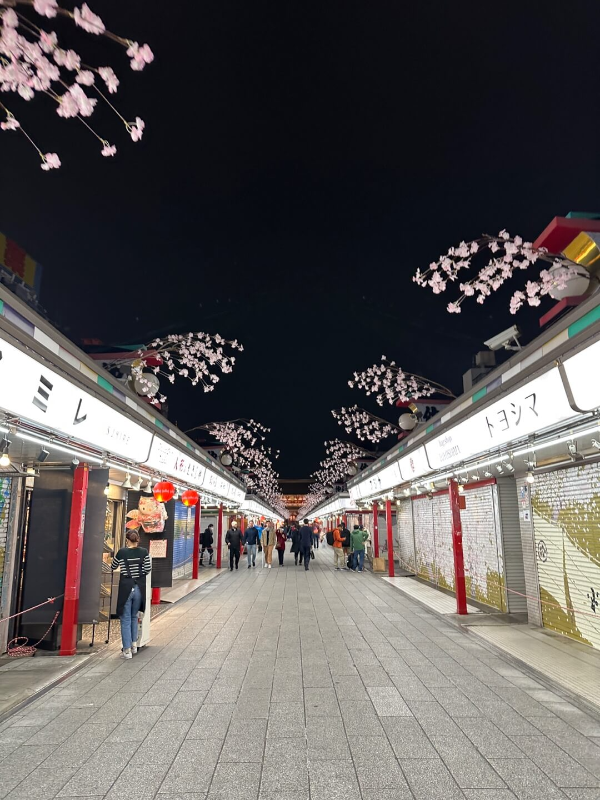 아사쿠사-나카미세-상점가-야경