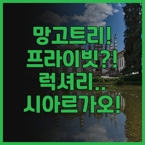 망고 트리 시아르가오 추천! 프라이빗..
