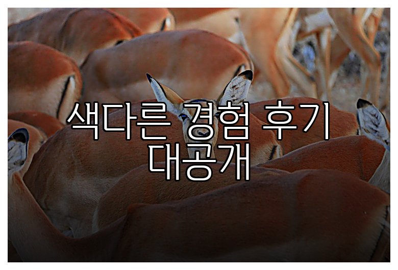 색다른 경험 후기 대공개