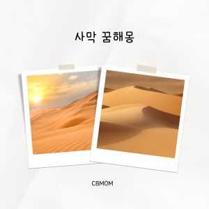 사막 꿈